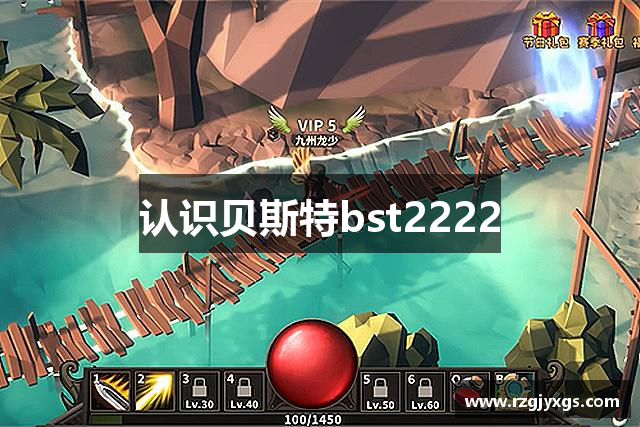 认识贝斯特bst2222